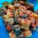 Cooksnap dari Mama Kevan Cake and Cookies untuk resep Balado ati ampela