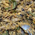 Cooksnap dari Layin Chori untuk resep Tongkol ala cakalang pampis