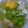 Cooksnap dari Dapur Mommy untuk resep Sayur Bening Oyong Telur