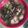 Cooksnap dari Farha Elein Kukihi untuk resep Sup bakso ikan dengan rumput laut (Chinese dried seaweed)