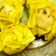 Cooksnap dari DapurKakak87 untuk resep Kulit siomay 140 lembar