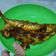 Cooksnap dari skripsi untuk resep Ikan Kembung Bakar ala Padang