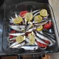 Cooksnap από Θανασης Περιστερης στη συνταγή Σαρδέλες στο φούρνο
