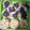 Cooksnap dari CAROLINE BEATRIX DAYANARA S CAROLINE untuk resep Kue pukis no santan
