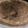 El cooksnap de pipita cuando hizo Tarta de coco y dulce de leche.