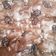 Cooksnap dari Airani untuk resep Fudgy brownis with shiny crust