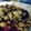 juanjocardona's cooksnap of when they made Chickpea, Pesto, Tomato & Mozzarella Salad.