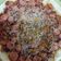 Cooksnap dari ineistya untuk resep Pizza teflon simpel