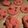 stephie80's cooksnap of when they made Easy Strawberry Chocolate Chip Cookies.