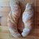 Marianna Farkas Cooksnap-ja, amikor elkészítette a(z) Ciabatta 🥖 receptet.