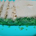 Cooksnap dari nur khasanah untuk resep Bolu Pandan Kukus 1 Telur Irit