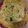 Ray Elmore's cooksnap of when they made Squash Casserole.