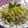 Cooksnap dari Achie untuk resep NASI GORENG KEMANGI