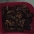 Cooksnap dari Aan Pradipta untuk resep Tumis Terong Ungu Saus Tiram