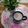 Cooksnap dari Clazias's Kitchen untuk resep Smoothies apel strawberry seger