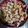 El cooksnap de Karen Dzi cuando hizo Galletitas saladas de 3 ingredientes.