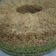 Cooksnap dari Abdi Susanti untuk resep Bolkus pisang no mixer