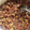 El cooksnap de Sheila Solis cuando hizo Chorichuletas.