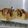 Cooksnap dari Noviana dewi untuk resep Marble cake 4 telur