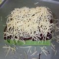 Cooksnap dari AISHA untuk resep Bolu Pandan Kukus Lembut