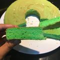 Cooksnap dari MR untuk resep Chiffon Pandan Tepung Beras TANPA Aduk Balik ~ Kempus-kempus, bebas gluten, lebih simpel.. 😋