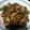 Cooksnap dari gadinkholiick untuk resep Cumi Asin Cabe Hijau Pedas Gurih