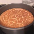 Teresa Yg 的 超簡單綿密蛋糕-只需三種材料 cooksnap