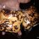 Cooksnap dari elisabeth siska untuk resep Roti isi pisang coklat bread improver