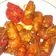 Cooksnap dari Lukistresa A-one untuk resep Lobster Saos Sambal