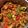 Nibedita Das's cooksnap of when they made চিলি চিকেন ।(chilli chiken recipe in bengali).