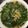 Cooksnap dari Sandra Ikke untuk resep Stir Fry Romaine Lettuce with Garlic