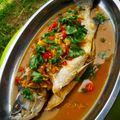 Cooksnap FZ Adzlin semasa beliau membuat Siakap Stim Soy Sauce Sehangat cinta Lailer dan Jekfer.