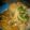 Cooksnap dari Mput Uput untuk resep Kwetiaw goreng🍜