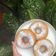 Cooksnap dari Christiana dwi putri untuk resep Donut Kentang Empuk (Menul - menul)