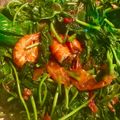 Cooksnap dari Handayani untuk resep Tumis Daun Ubi