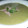El cooksnap de Tona cuando hizo Crema de brócoli.