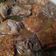 Cooksnap dari Titah - Dree’s Kitchen untuk resep Semur ayam extra pedas