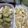 Cooksnap dari Frieska Arianty Firdaus untuk resep Siomay