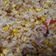 Cooksnap dari bu dian untuk resep Nasi goreng jagung manis🌽🌽