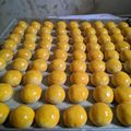 Cooksnap dari Dyah ayum untuk resep Nastar Kinclong (Layak Jual) 23.05.2019