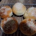 Cooksnap dari Putri Khatami Rizki untuk resep Roti Burger Rumahan / burger bun