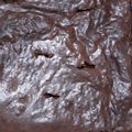 EshEsh's cooksnap of when they made Best brownie.