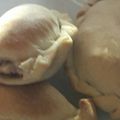 El cooksnap de Graciela Ruiz cuando hizo Empanadas de atún.