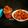 Manisha Sampat's cooksnap of when they made Gum berry/Glue berry Raw mango Pickle (gunda keri athanu).