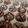 Cooksnap από Katerina Nakopoulou στη συνταγή Crinkle Cookies, τα απολαυστικά “ραγισμένα” μπισκότα
