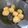 Cooksnap dari marliana untuk resep Bakso goreng ayam