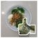 Cooksnap dari Rini Cahyanti untuk resep Mie ayam kwetiaw