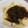 El cooksnap de Grace Garbossa cuando hizo Salsa de hongos secos (para acompañar pastas).