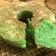 Cooksnap dari Siti Namirah untuk resep Bolu Pandan Santan Panggang