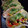 El cooksnap de Marisol Melgarejo cuando hizo Tacos de carne y verduras.